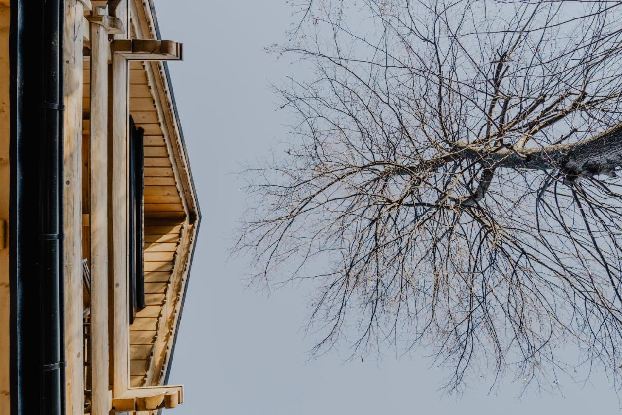 Biolo I Corno Izba Mountain Chalets Косцелиско Экстерьер фото